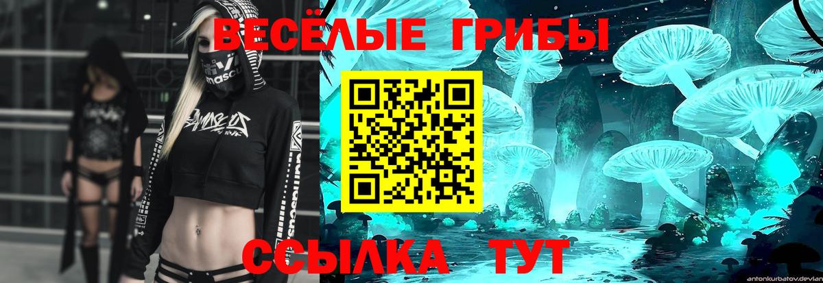 Псилоцибиновые грибы прущие грибы Белгород